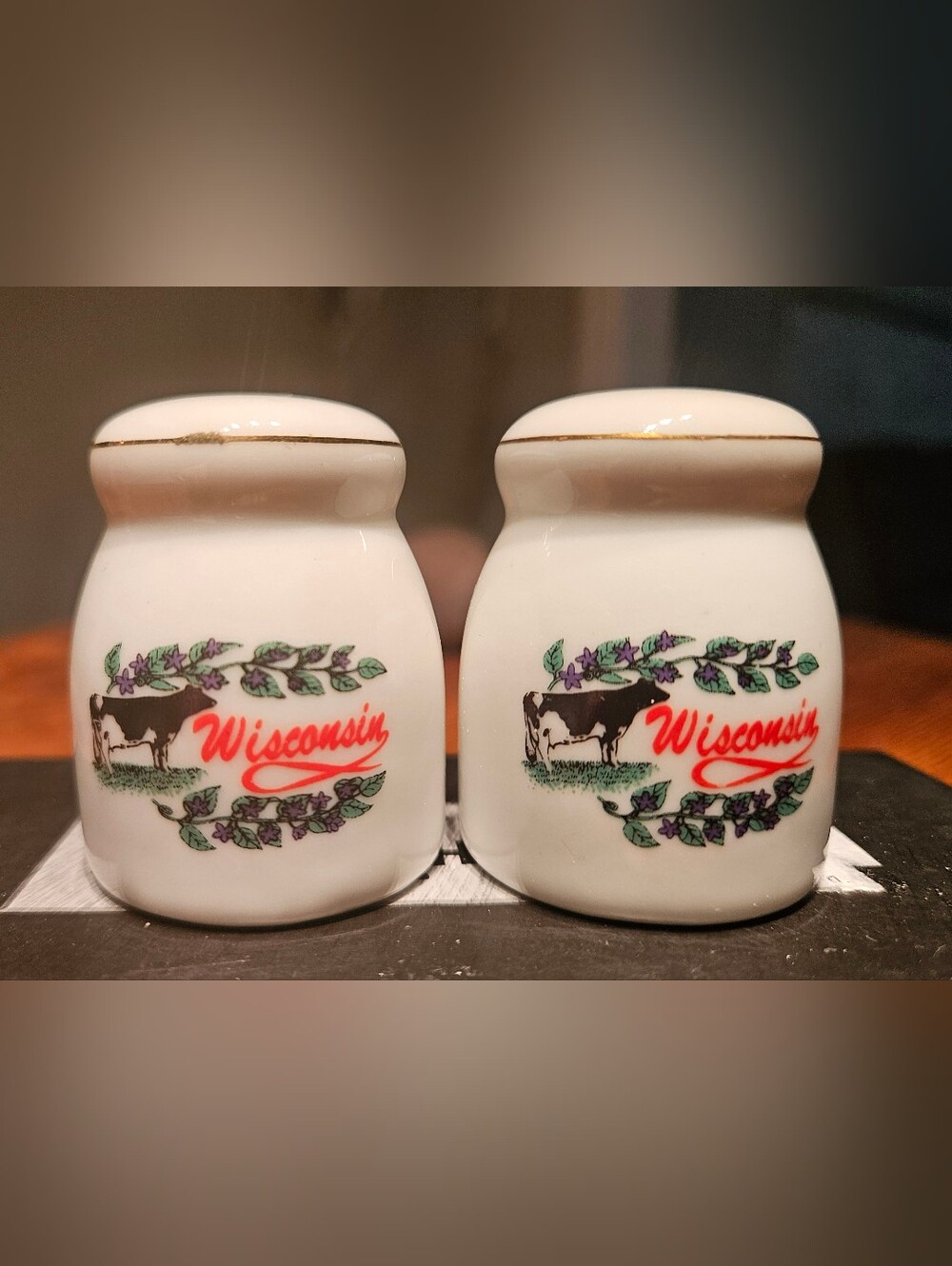 Wisconsin Ceramic Salt and Pepper Shakers in Cream with Gold Trim